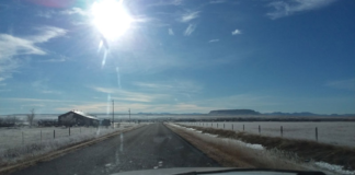 Life on the Fairfield Bench