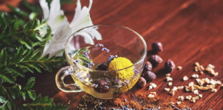 Top 10 Antiviral Herbs