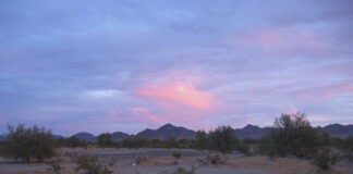 The real Roswell UFO incident The real Roswell UFO incident