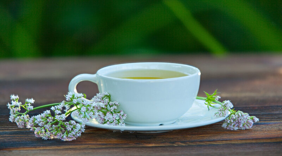 5 natural sleep aids you may be unaware of Cookies and Cowpies