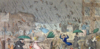 It’s raining cats and dogs cats and dogs