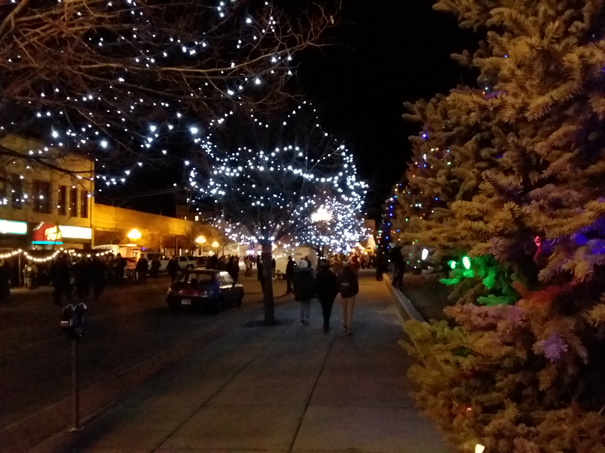 The Parade of Lights Great Falls Cookies & Cowpies Great Falls