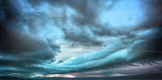 Cadence Spalding – Save the World Cadence Spalding - Save the World