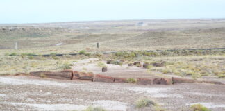 Petrified Forest National Park Petrified Forest National Park