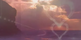 Gnomusy – Alexandra Gnomusy