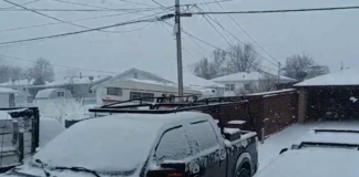 Springtime in Montana Springtime