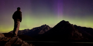 Guy Sweens – In Search of the Truth Guy Sweens – In Search of the Truth