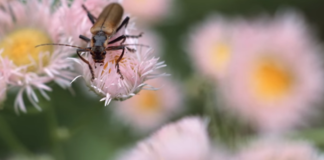 John Adorney – The Potter’s Gift John Adorney – The Potter’s Gift