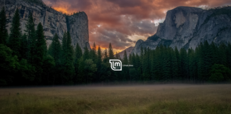 Setting up Windows 11 and Linux Mint Dual Boot Linux