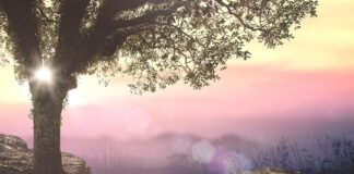 Meanwhile … in the Garden of Eden Garden of Eden