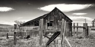 Couple elope from New York for Twodot honeymoon Twodot