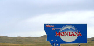 18 to 4 to 54 to 56 to 2 (Montana License Plates) license plates