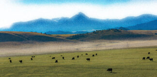 Montana Department of Agriculture program funding opportunity Montana Department of Agriculture