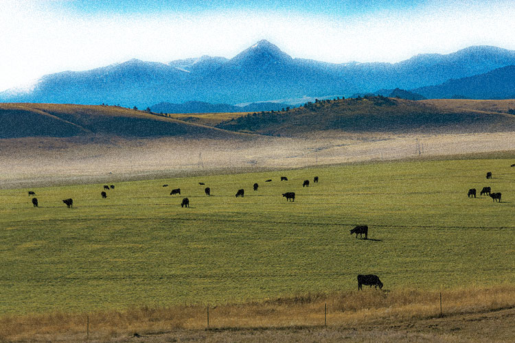 Montana Department of Agriculture program funding opportunity