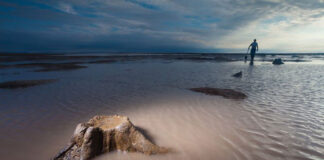A window into the world of Doggerland Doggerland