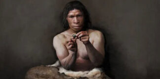 Ancient species related to man unknown to science Ancient species