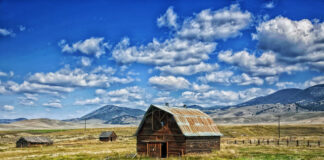 Applications: FWP’s Habitat Conservation Lease Program Conservation Lease Program