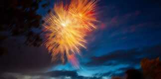 Mitigating the effects of fireworks on our pets fireworks