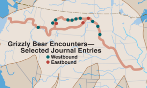 Grizzly Bear encounters by the Corps of Discovery