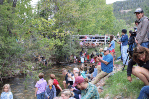 A day at the "Duck" races A day at the "Duck" races