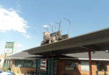 Who doesn’t love a good road trip? road trip