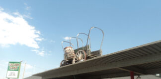 Who doesn’t love a good road trip? road trip