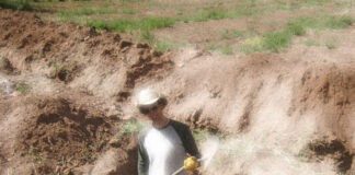 Gone Wireless wireless