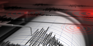 Disaster early warning systems: Animals Disaster early warning