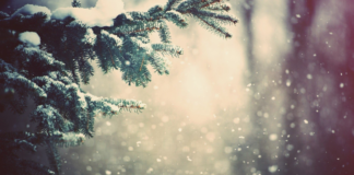 Tuesday Snow Predicted Snow Predicted