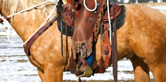 Chaps: the icon of cowboy culture Chaps