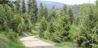 Mullan Pass Road Trip Mullan Pass