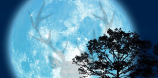 The Buck Moon: July 21, 2024 Buck Moon