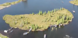 The Forty Acre Bog on Lake Chippewa The Forty Acre Bog on Lake Chippewa