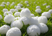 Graupel: What is it? Graupel: What is it?