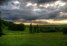 Bryan El: A Journey into New Age Music Bryan El - Dreamscape