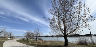 West Bank Park’s Fourth Street NE entrance permanently closed West Bank Park