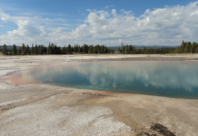 Yellowstone National Park Fishing Update Yellowstone National Park