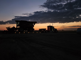 Tariffs and Their Impact on American Farmers How tariffs are impacting farmers