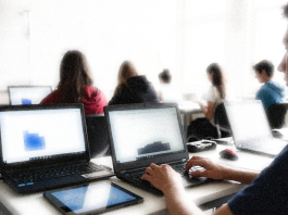 Digital Wisdom: Schools Revamp Literacy for AI Digital Wisdom