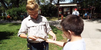 Advertising on Cookies and Cowpies Advertising