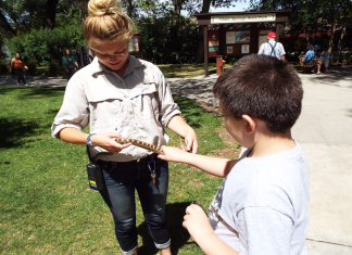 Advertising on Cookies and Cowpies Advertising