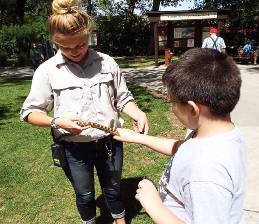 Advertising on Cookies and Cowpies Advertising