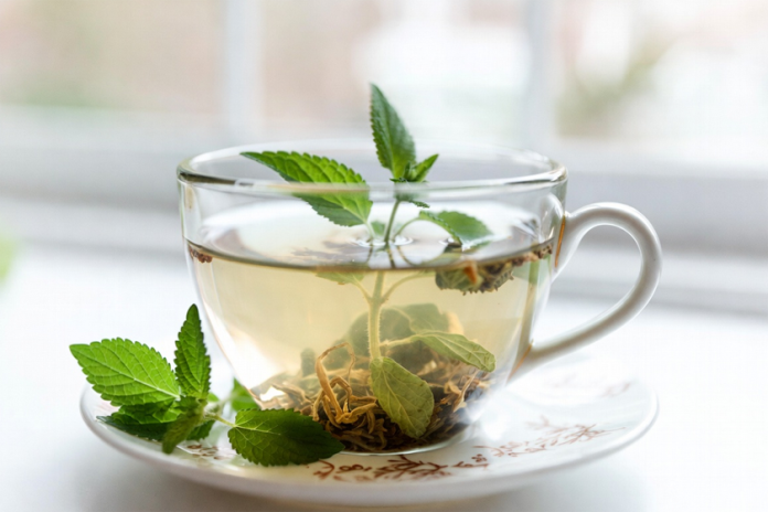 Lemon Balm Tea