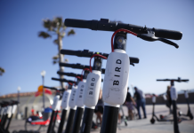 Bird Scooters were a real problem Bird Scooters