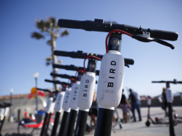 Bird Scooters were a real problem Bird Scooters