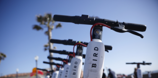 Bird Scooters were a real problem Bird Scooters