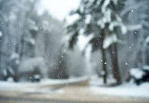 Freezing Rain Forecast for 12-24-2025 Freezing Rain Forecast