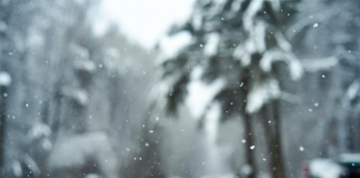 Freezing Rain Forecast for 12-24-2025 Freezing Rain Forecast