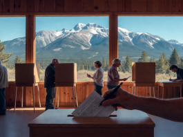 Montana Election Officials remind voters of Birth Year Requirement Birth Year Requirement