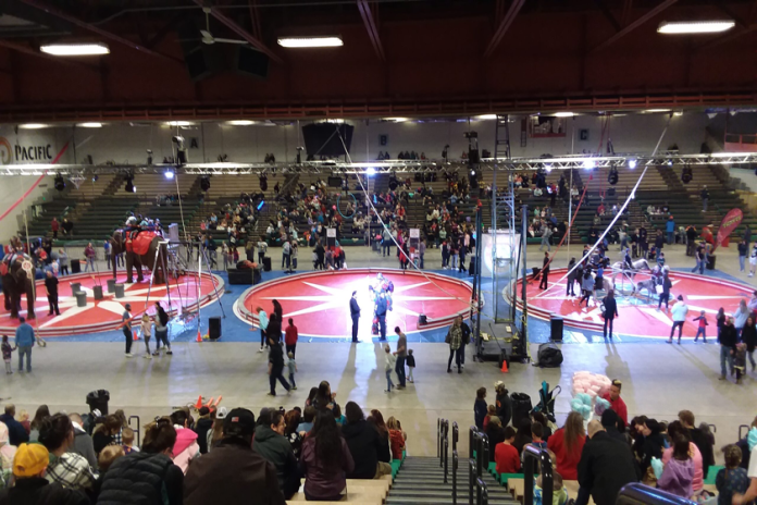 Annual Shrine Circus